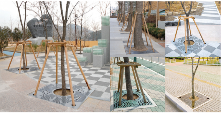 02d9d63a0b38900c69f62a563c8de965_1559966