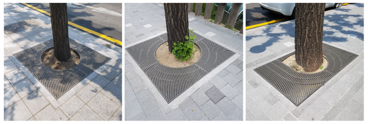 02d9d63a0b38900c69f62a563c8de965_1559966