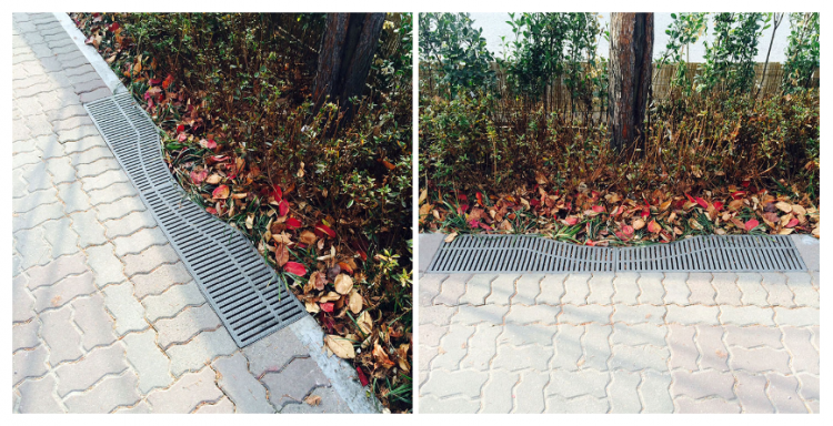 02d9d63a0b38900c69f62a563c8de965_1559966